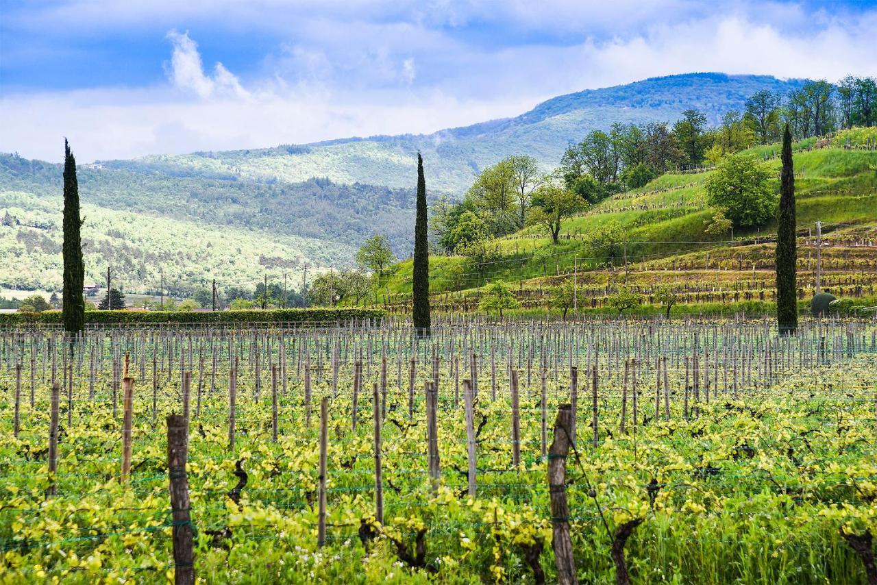 Venica & Venica Wine Resort Dolegna del Collio Экстерьер фото